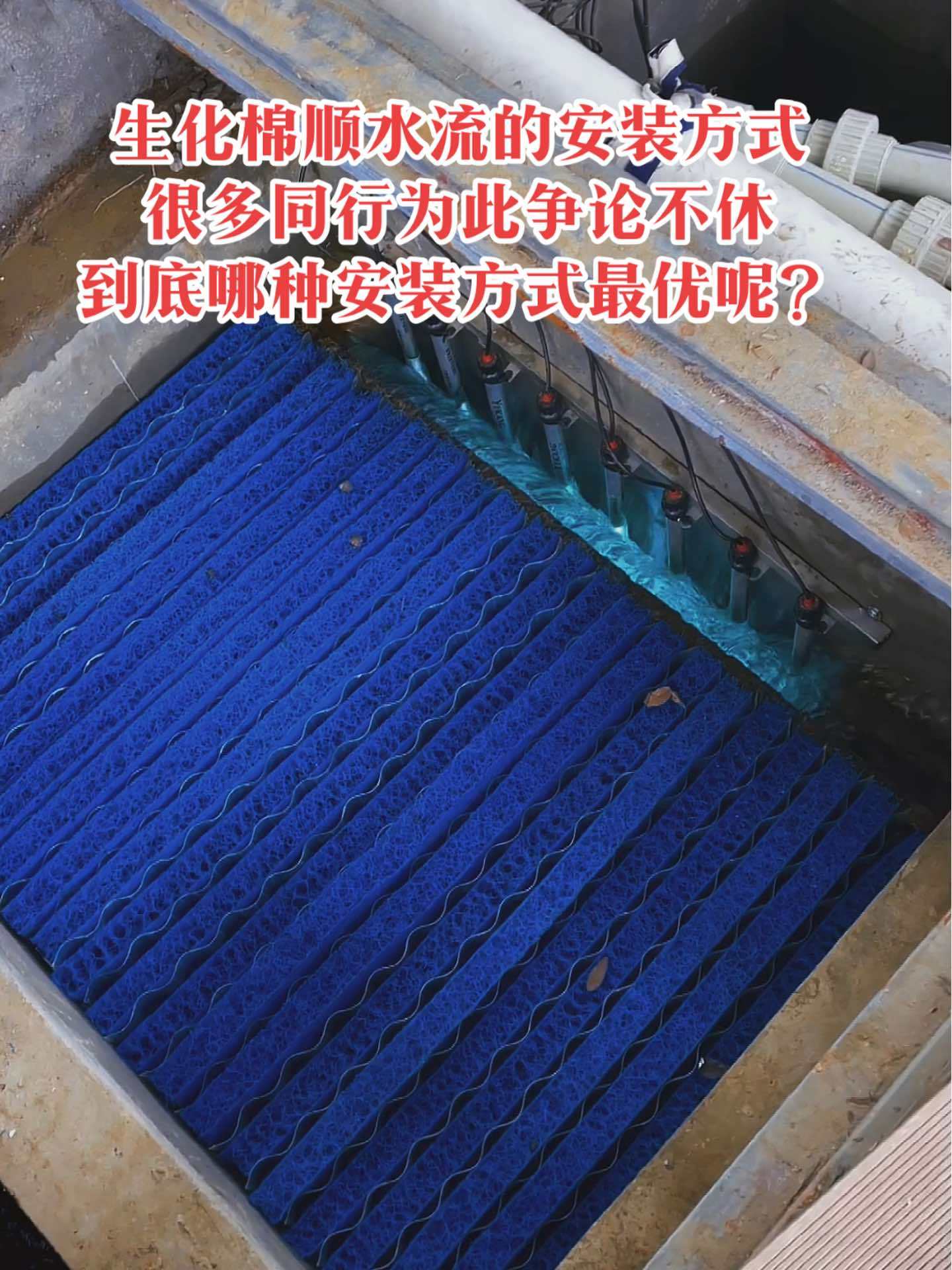 生化棉顺水流的安装方式,很多同行为此争论不休,到底哪种安装方式最优呢?庭院鱼池 锦鲤鱼池过