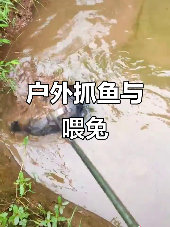 抓鱼大作战：兔子喂青菜，水质测试后赶河捕捞