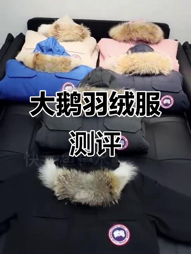 大鹅羽绒服细节评测:面料、狼毛与充绒全方位解析