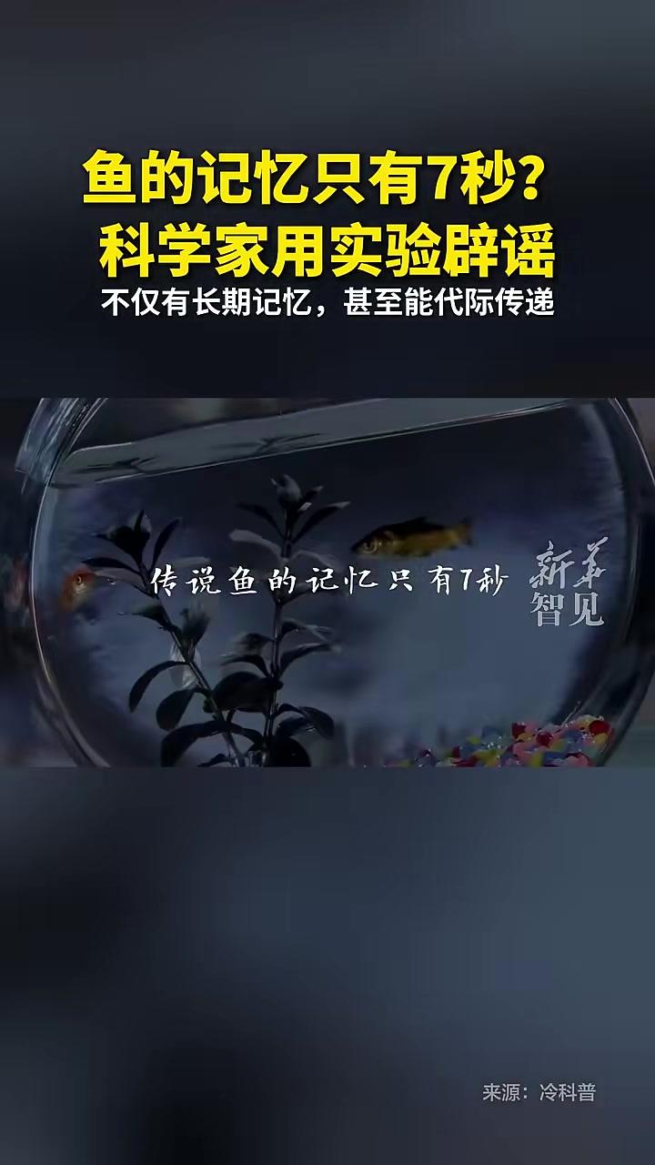 鱼的记忆只有7秒？科学家用实验辟谣：鱼不仅有长期记忆，甚至能代际传递