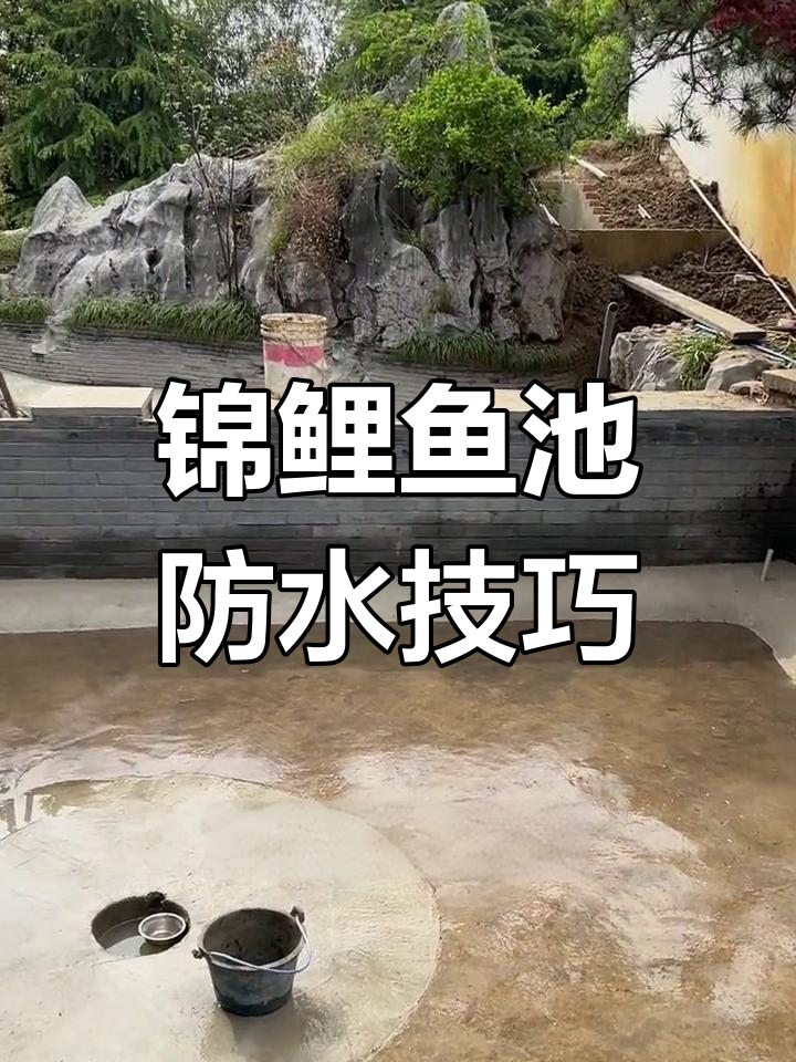 锦鲤鱼池防水改造全流程,细节决定成败
