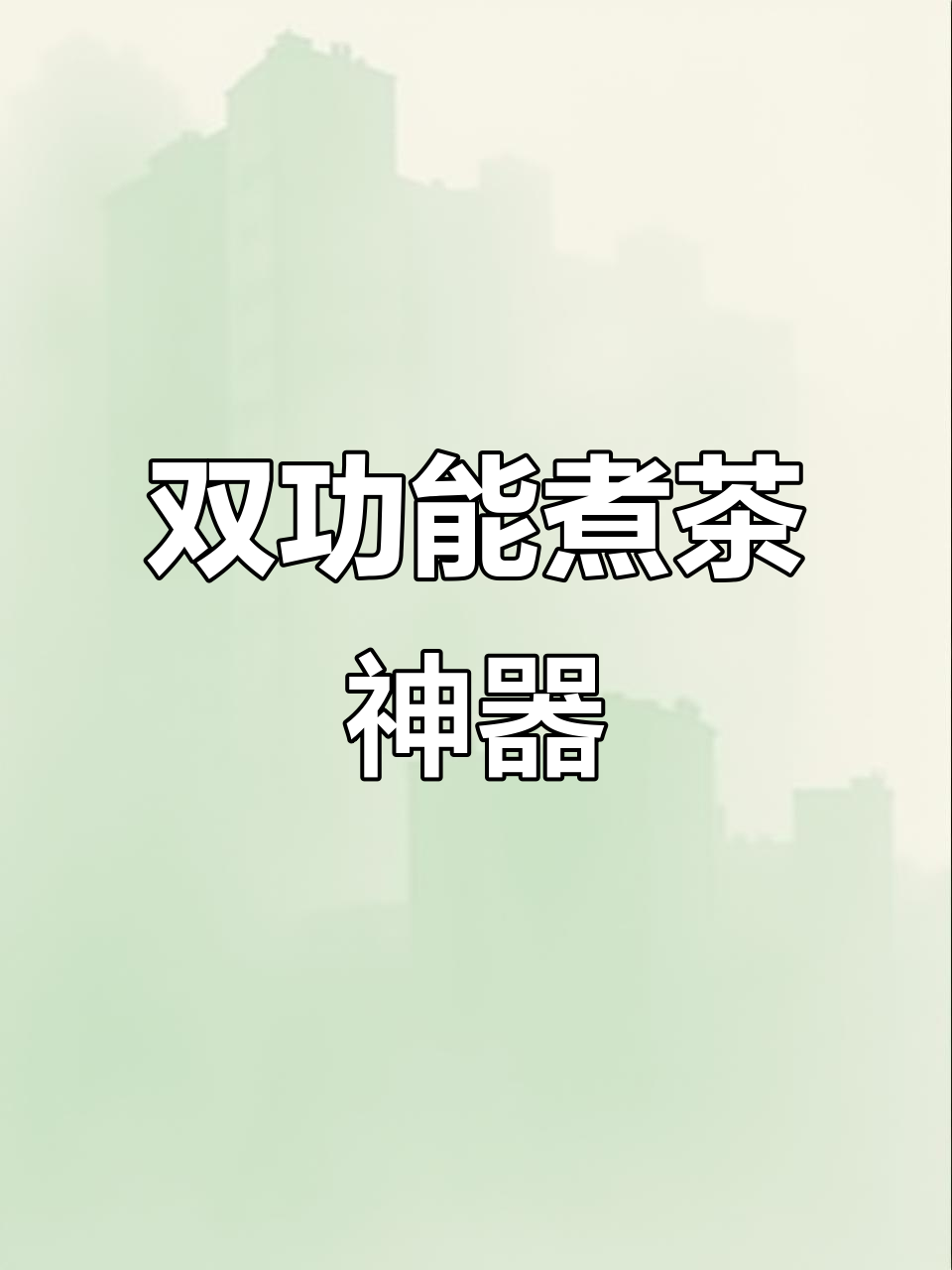 德国蒸汽煮茶器,蒸煮一体,满意再签收!