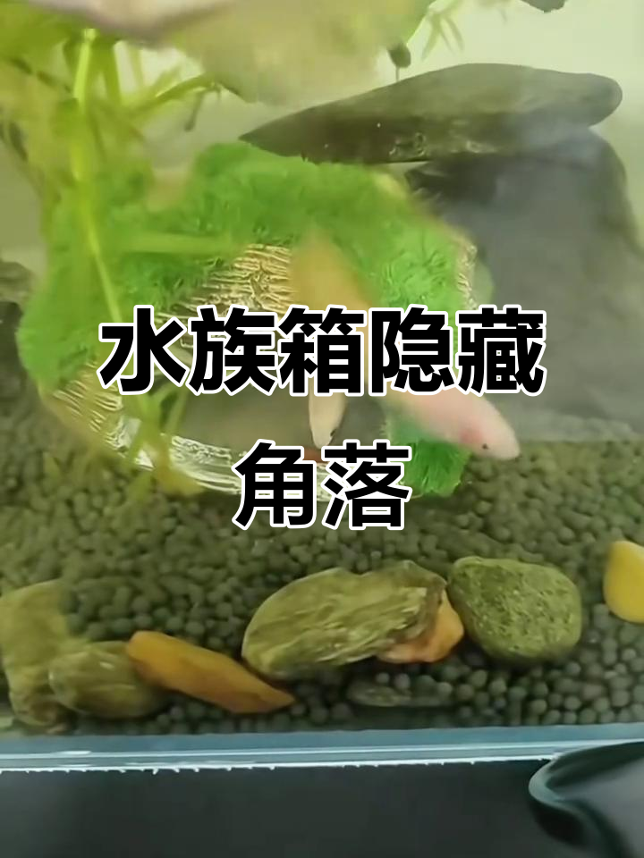 鱼缸装饰,仿真酒桶洞穴,虾屋避难所