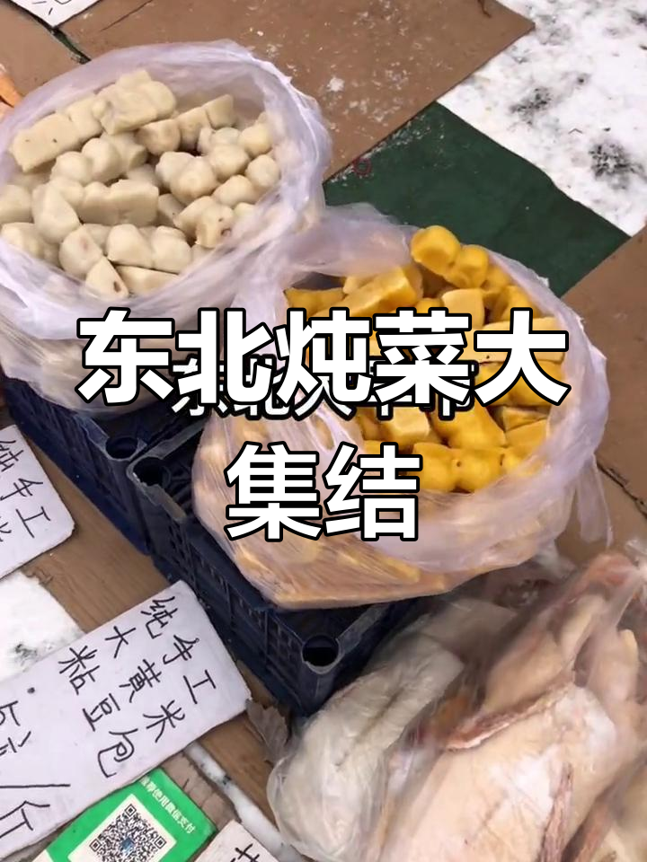 东北经典炖菜,铁锅大鹅、鲶鱼茄子等美味让人垂涎!