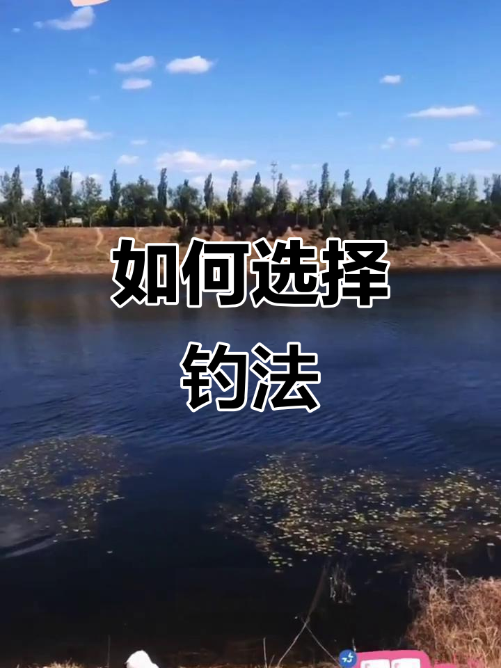 钓鱼技巧大揭秘:何时用搓饵,何时用拉饵?