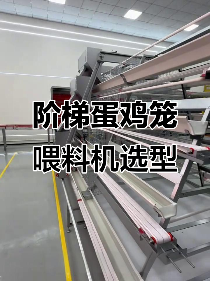 阶梯式鸡笼喂料机选择:龙门与跨筒式的优缺点对比