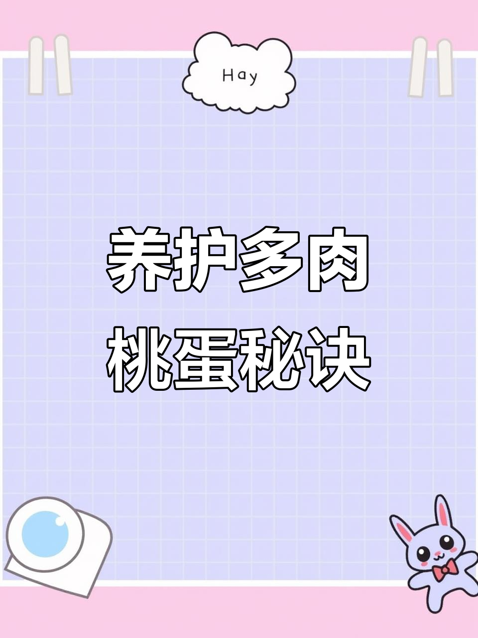 养好多肉桃蛋,掌握这些技巧轻松养成小老桩