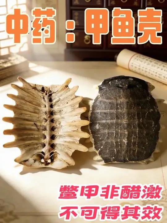 甲鱼壳又叫鳖甲：你吃甲鱼扔的壳，可是本草界的顶流
