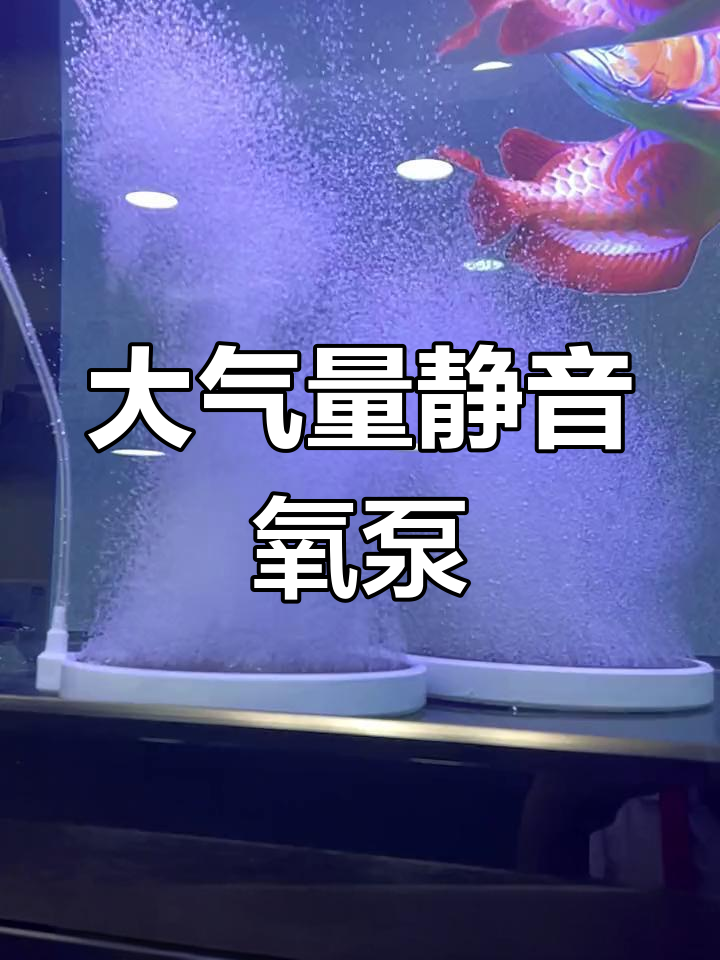 静音氧气泵推荐,大鱼缸必备!