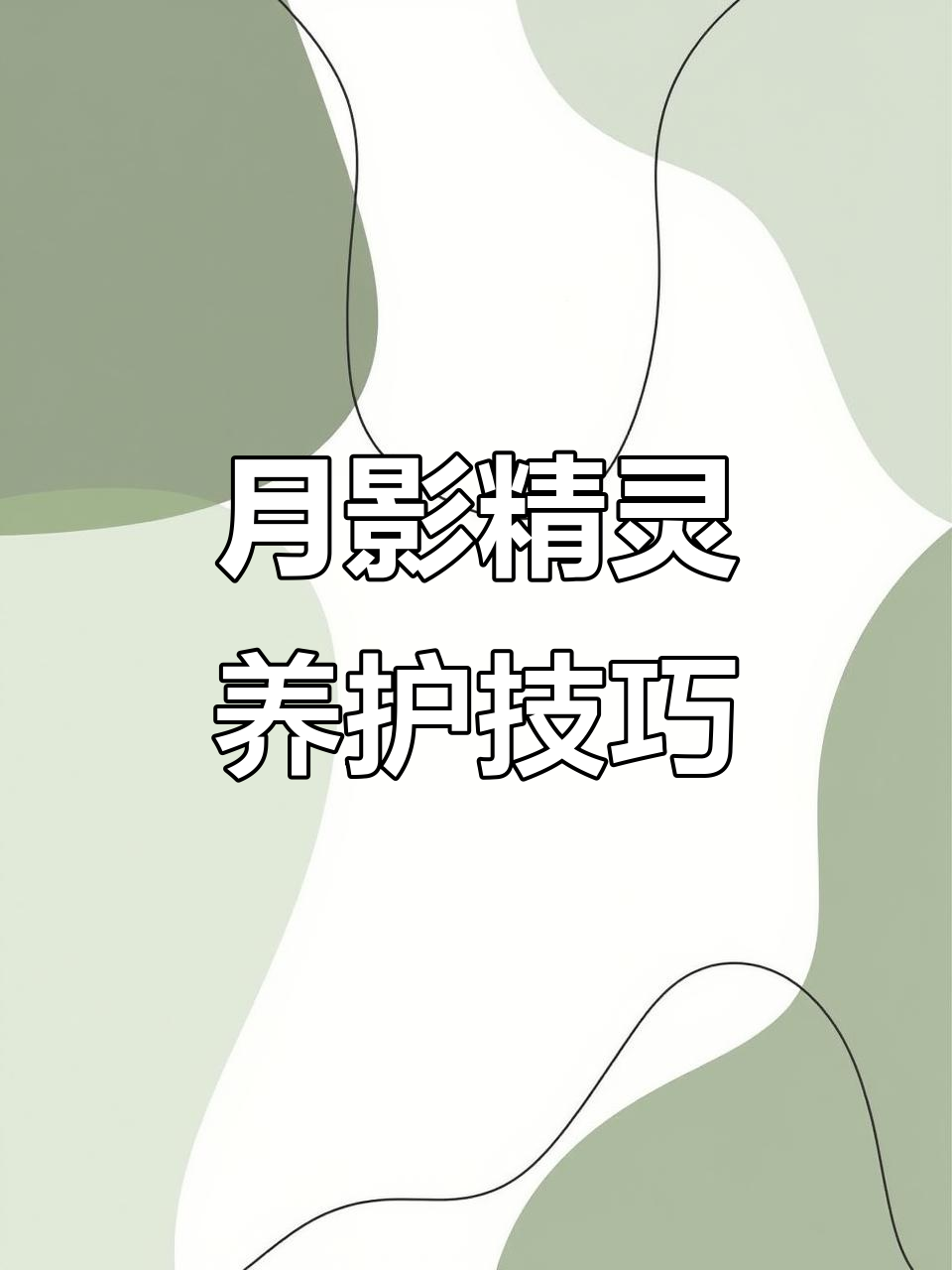 月影精灵:温暖干燥环境下的美丽多肉植物