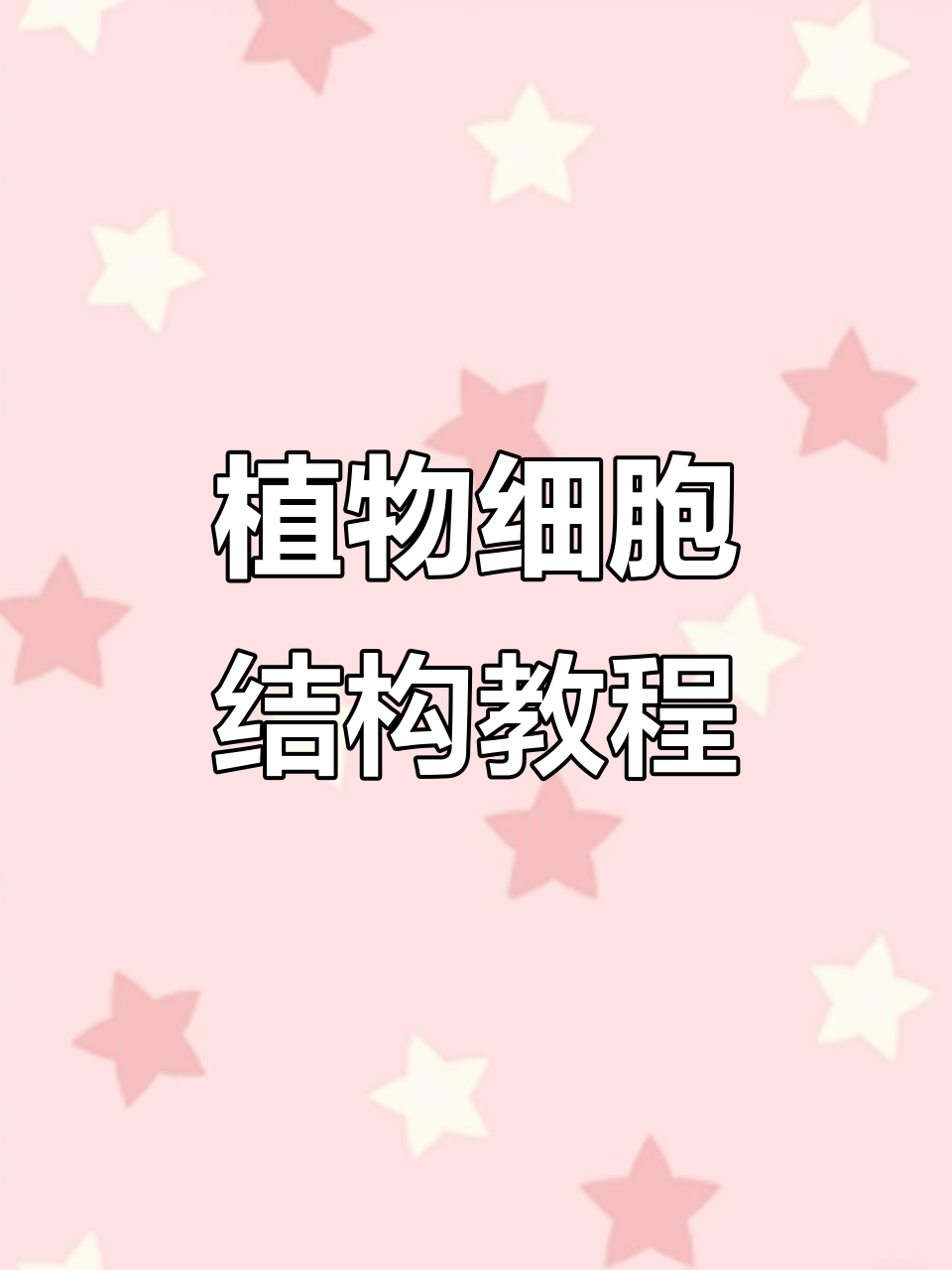 用超轻粘土制作植物细胞模型,简单步骤教你做
