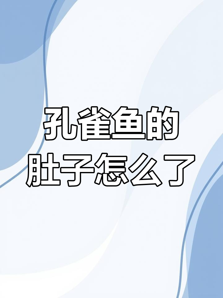 这条孔雀鱼是怀孕还是腹水?肚子大得惊人!