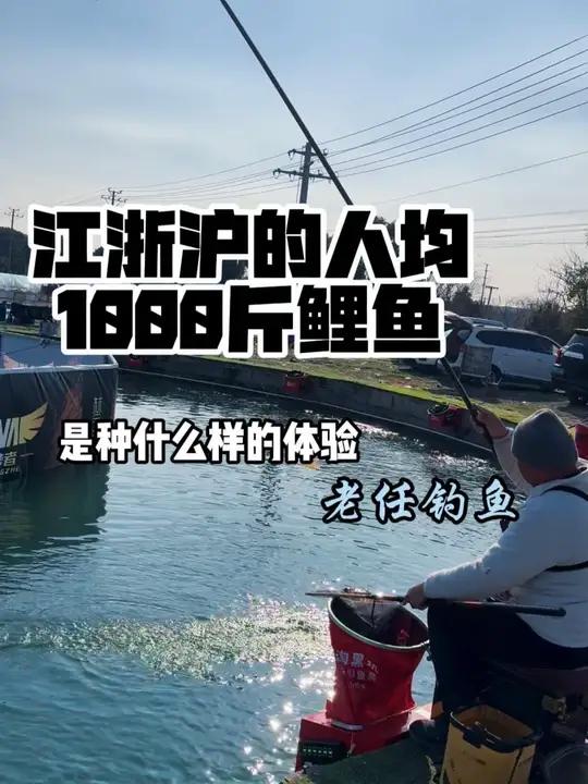 第169期 江浙沪的冬天,人均一千斤鲤鱼是什么样的体验!