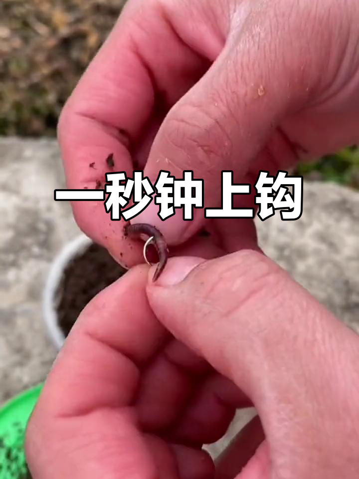 秒挂蚯蚓不脏手,钓鱼更轻松