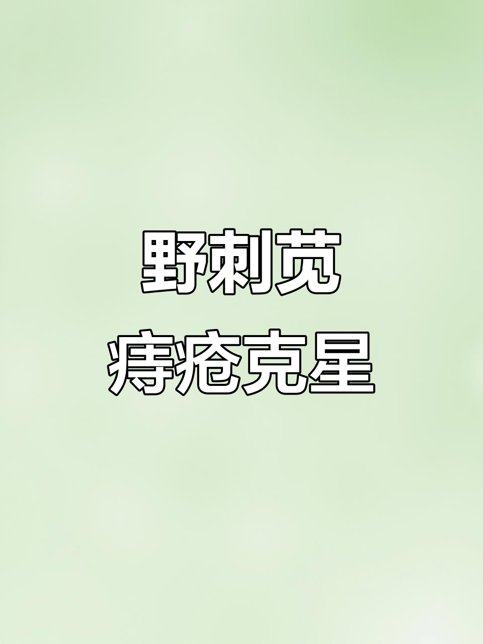 刺苋菜：南方常见却鲜为人知的痔疮良药