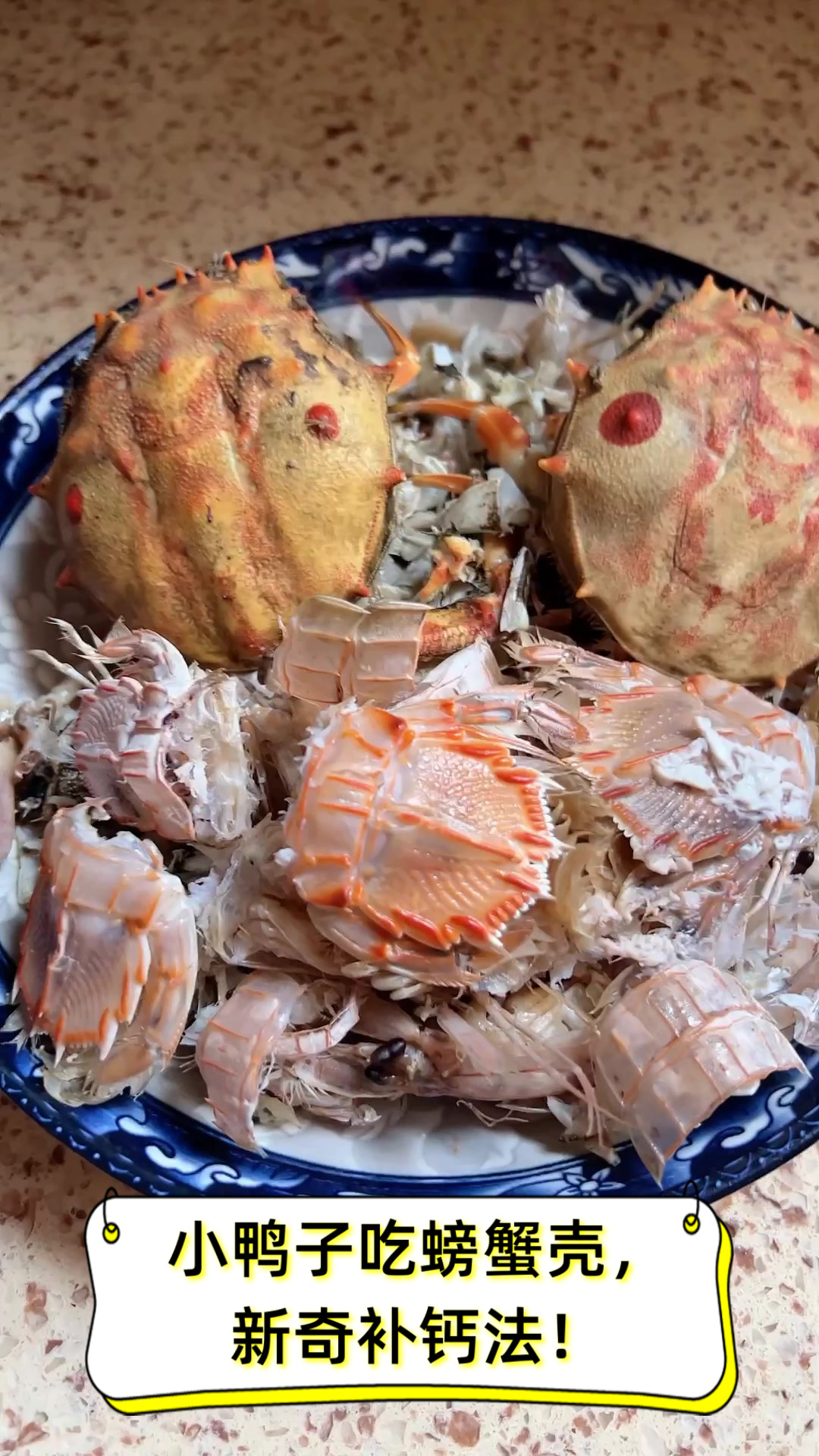 小鸭子吃螃蟹壳,新奇补钙法!