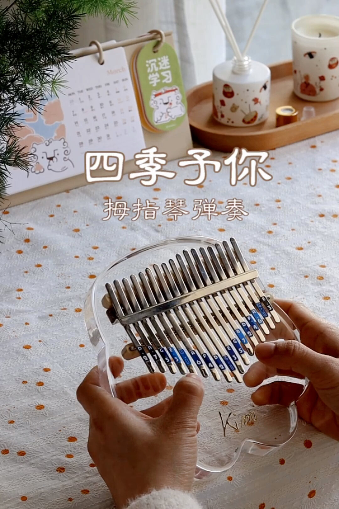拇指琴弹奏四季予你|带数字简谱|简单易学版