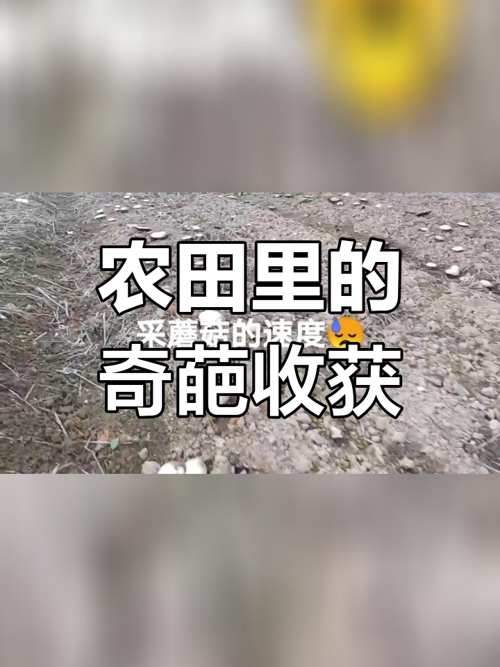 油菜籽种出蘑菇,能吃吗?