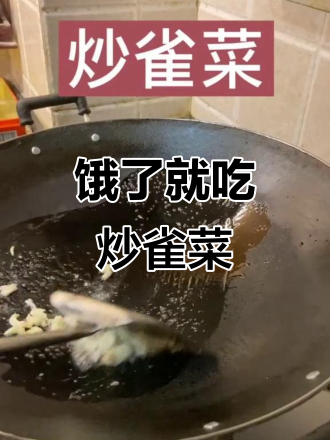 晚上饿了炒一碟雀菜,减肥又美味