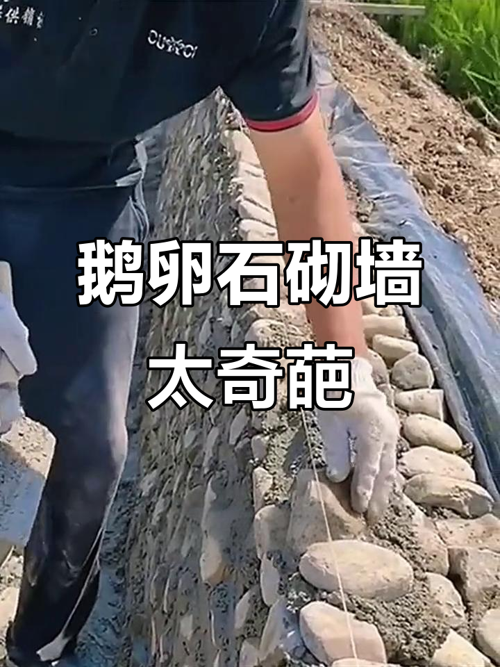 第一次见用鹅卵石砌墙,台风来了肯定倒