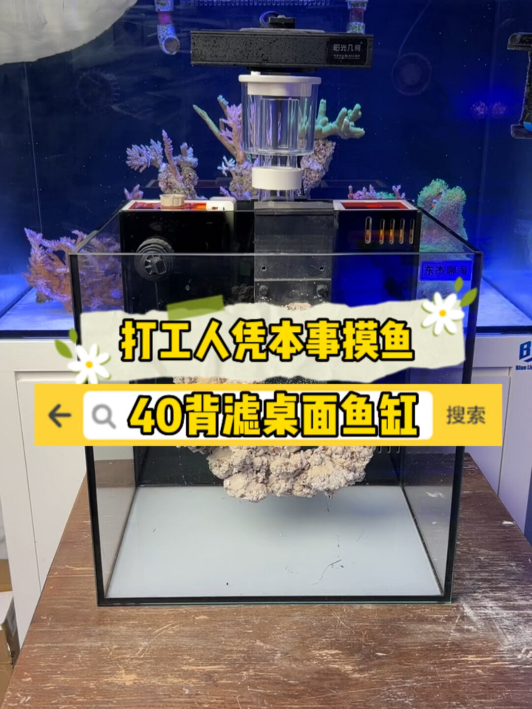 40背滤鱼缸,作为海缸是这样使用呢