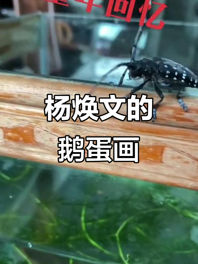 侨乡文化传承:杨焕文鹅蛋画手信礼