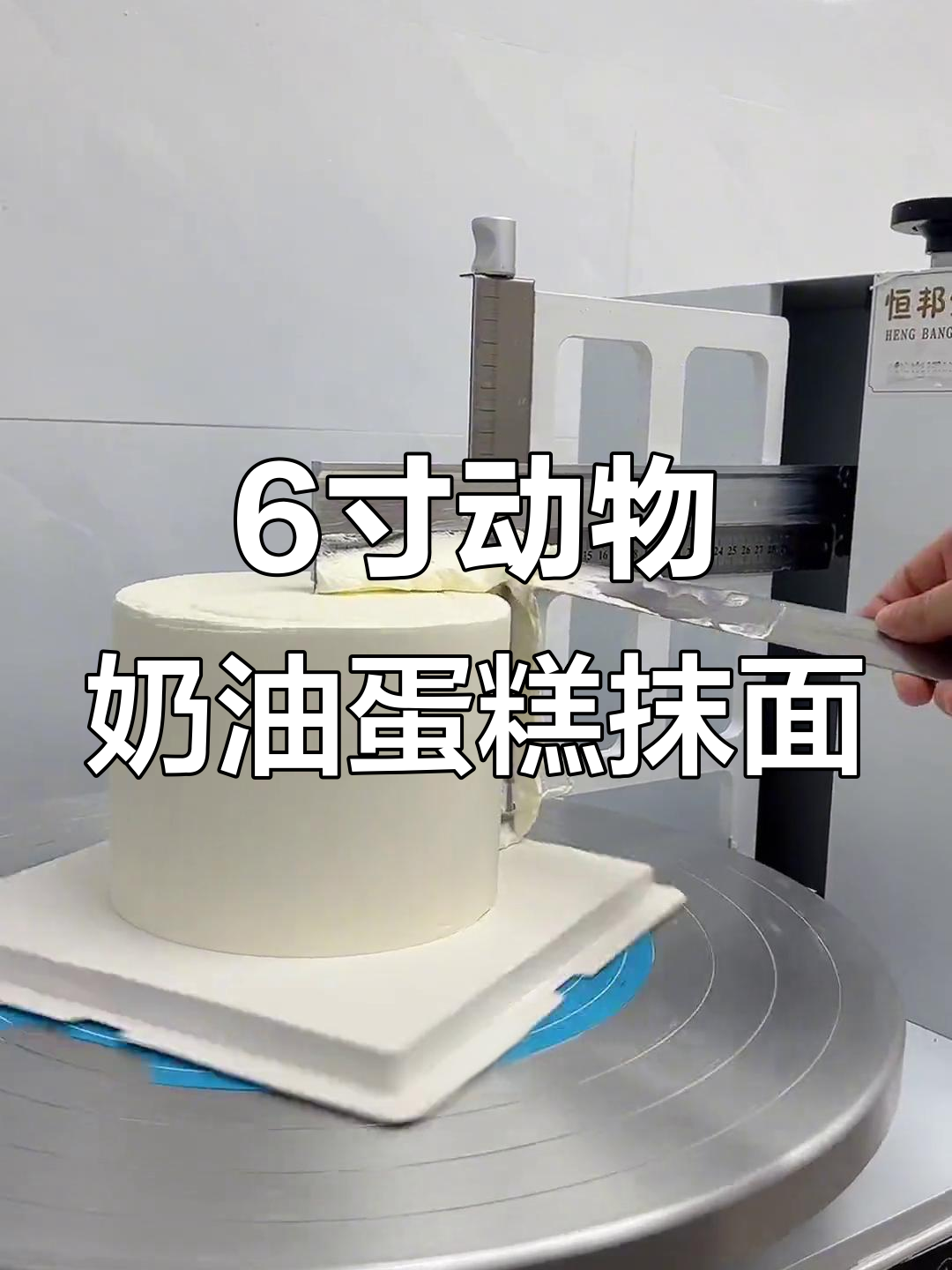 六寸小高层动物奶油蛋糕抹面技巧,14厘米完美呈现