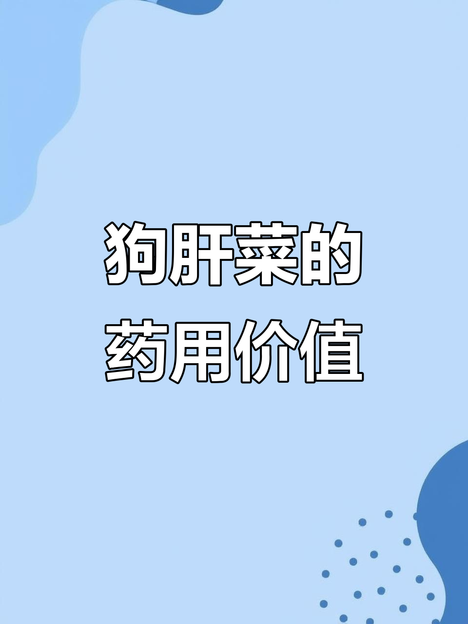九头狮子草,清热利尿,叶片独特如狗肝