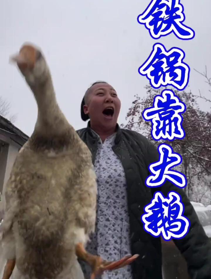 我的农村日常之铁锅靠大鹅