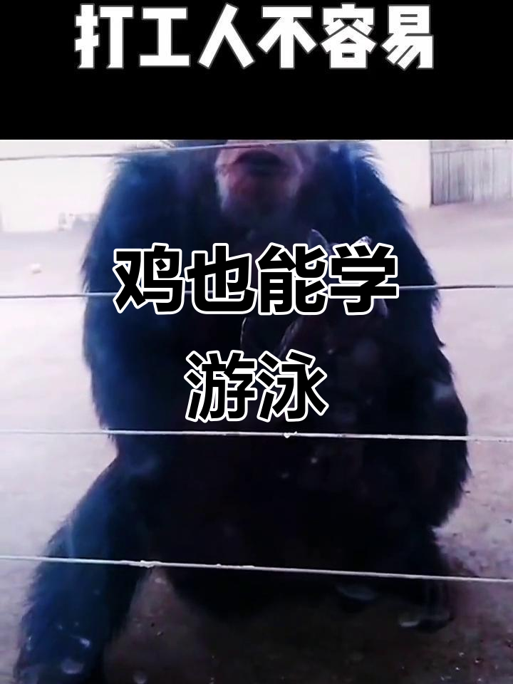 鸡胸矫正新方法?游泳竟然有效!