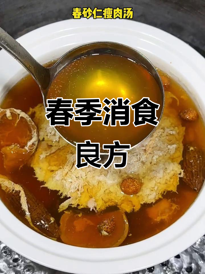广东经典汤品，春砂仁助消化，孩子最爱！
