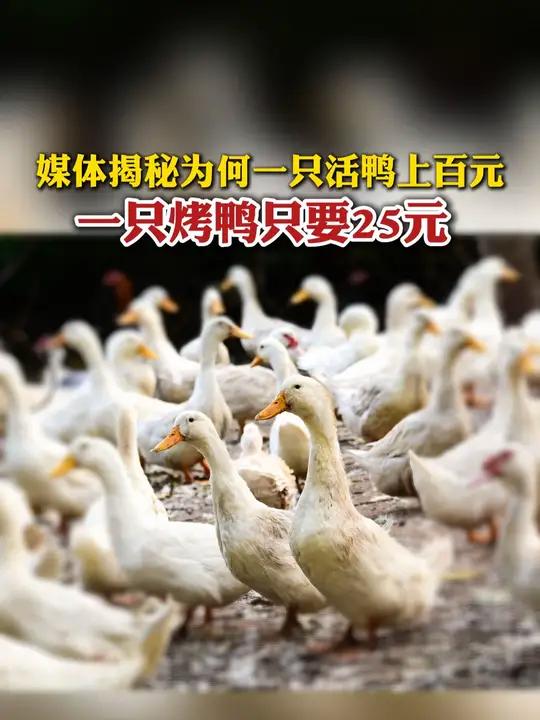 “鸭子25元一只,每天现做现卖,高峰期一天能卖200多只。”济南街头某烤鸭店的店员向记者介