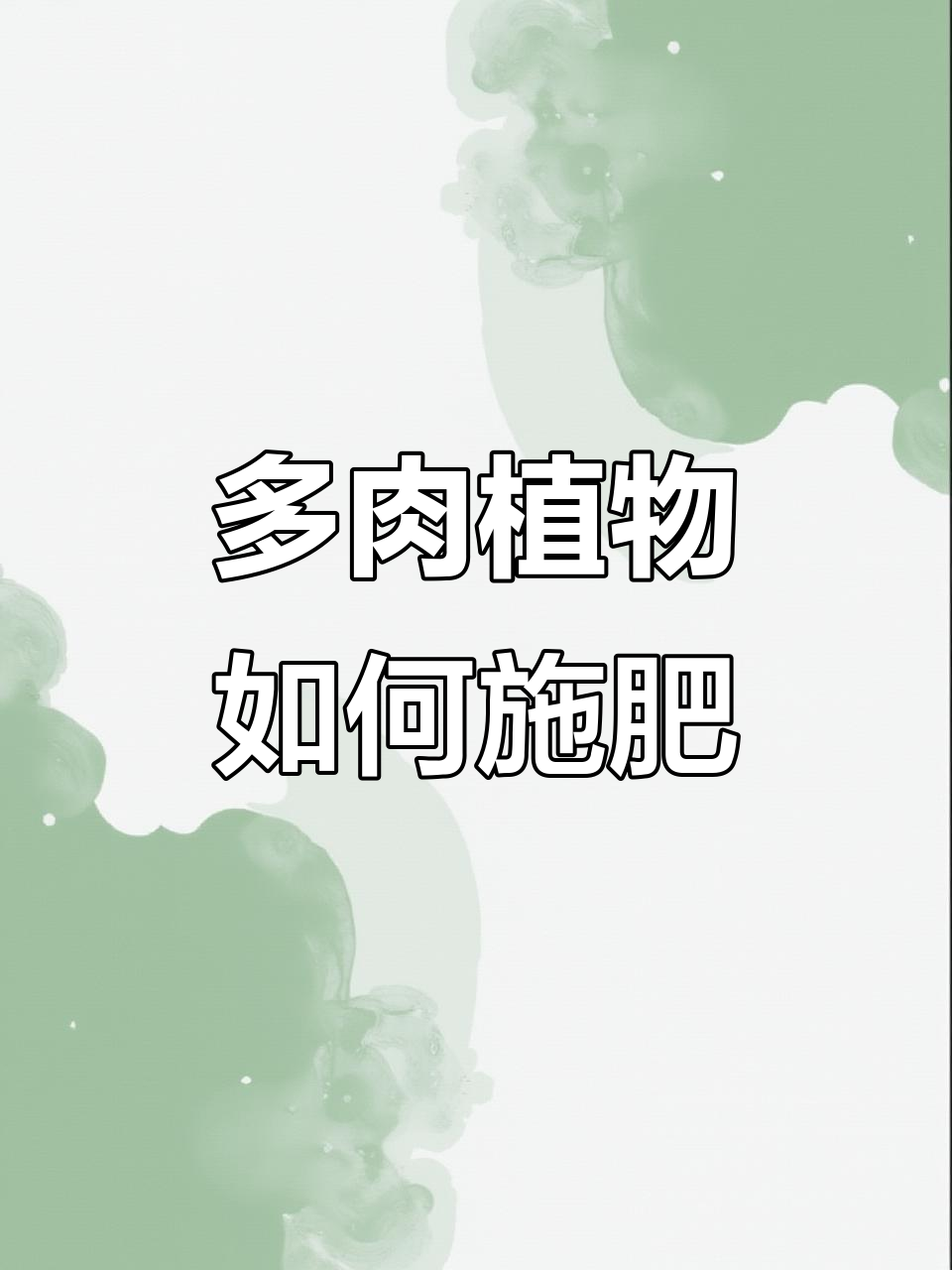 多肉植物养护秘籍：浇水不够，肥料才是关键