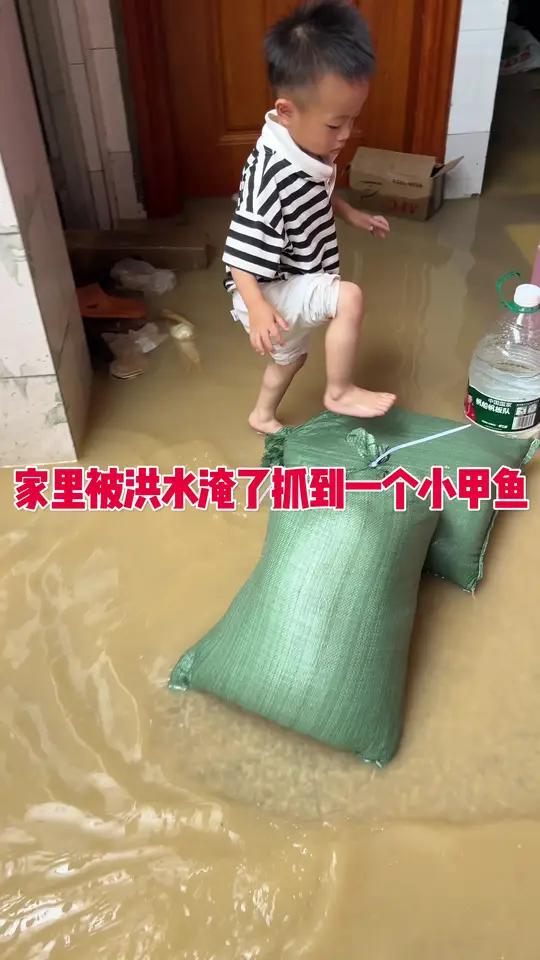 家里被水淹了抓到一只小甲鱼