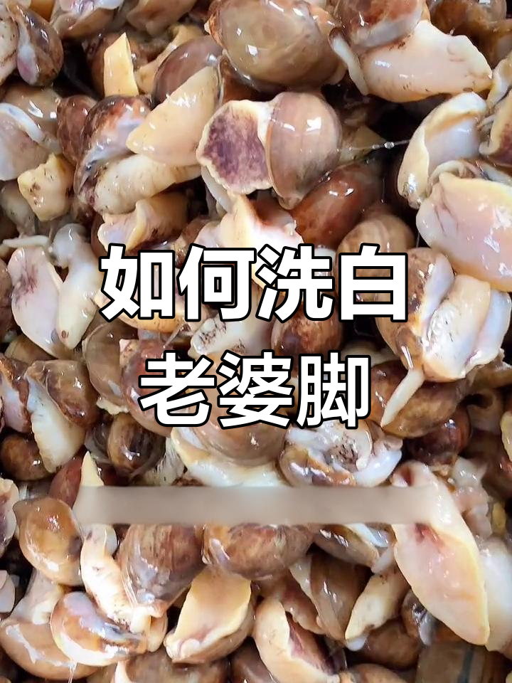 鲍鱼螺的清洗秘诀,如何让脚白白嫩嫩