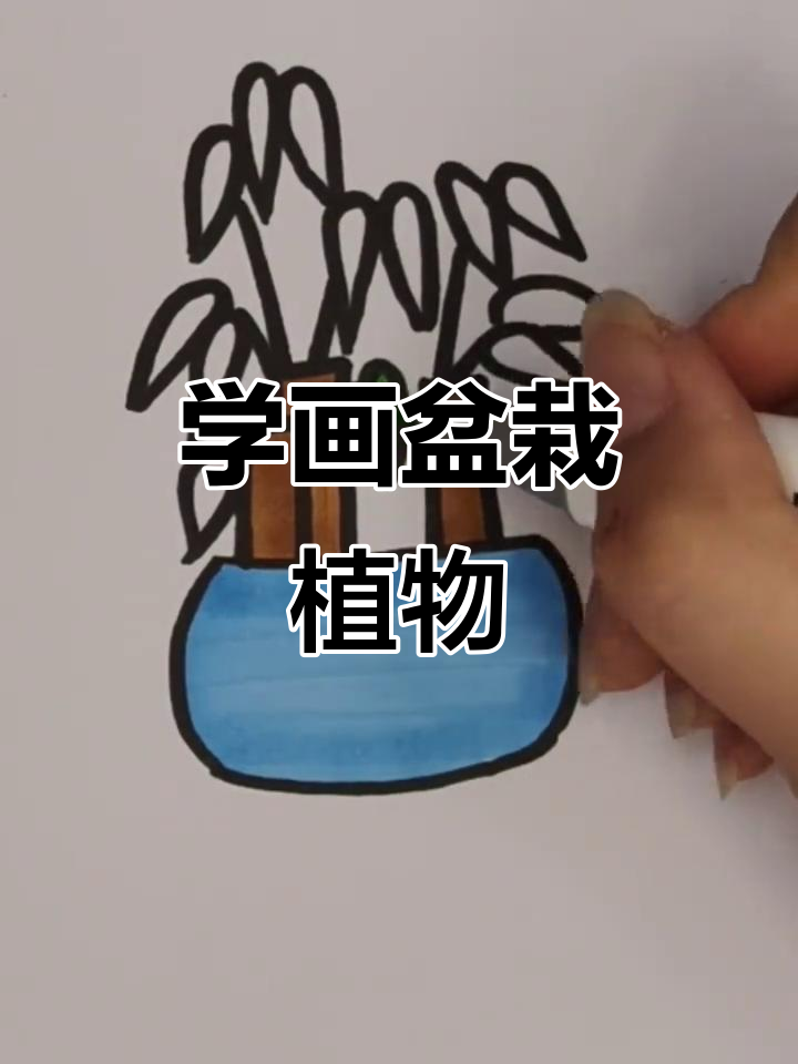 轻松学画盆栽植物,简单步骤教你画出可爱小绿植