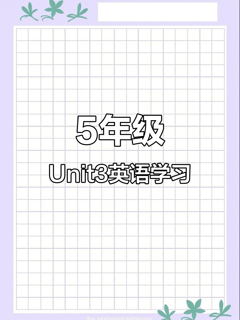五年级英语Unit3:三明治、沙拉与汉堡包