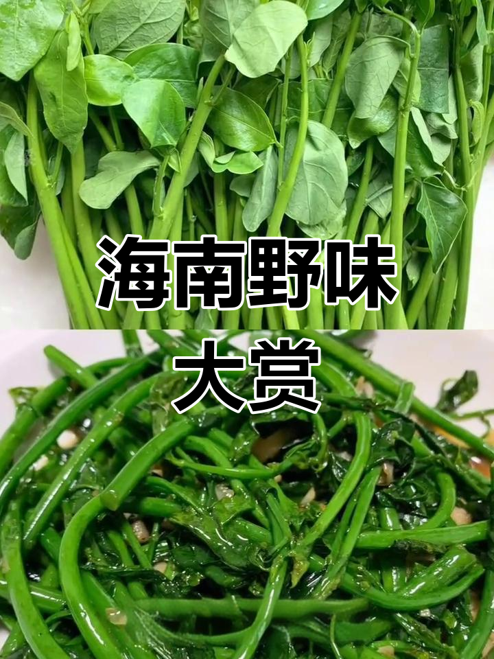 海南野菜丰富,口感独特,值得一试!