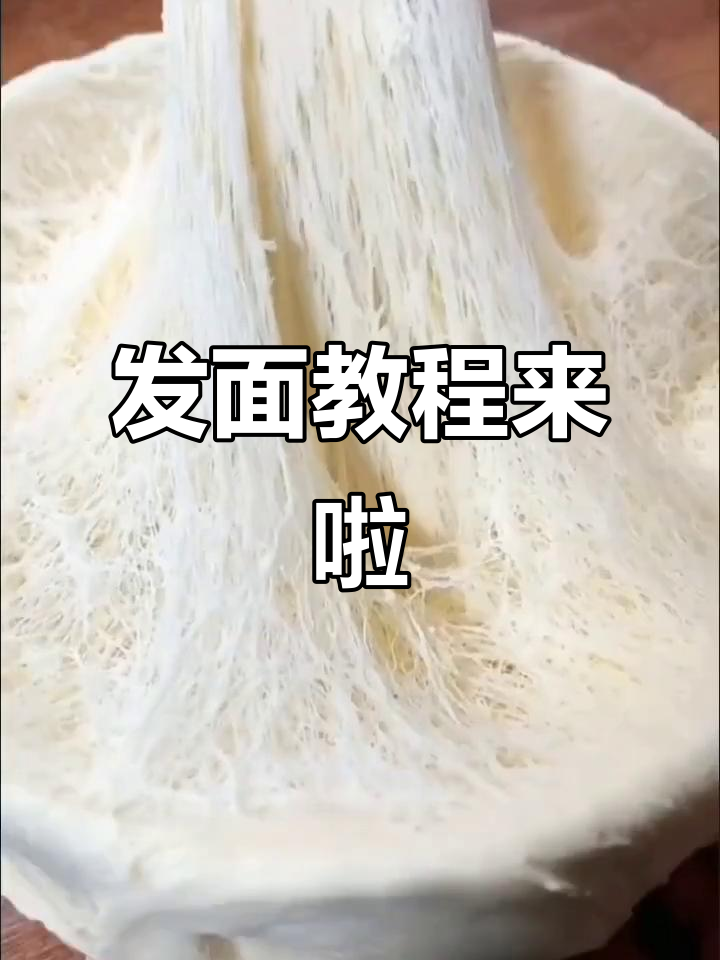 学做包子馒头,先从发面开始!配方大公开