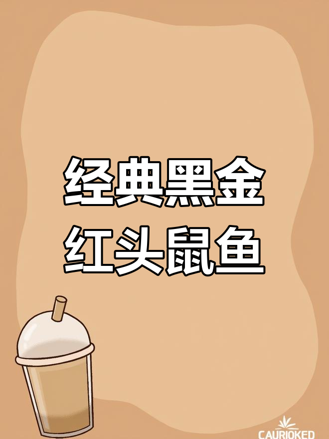 黑金红头鼠鱼:经典卵生品种,了解饲养技巧