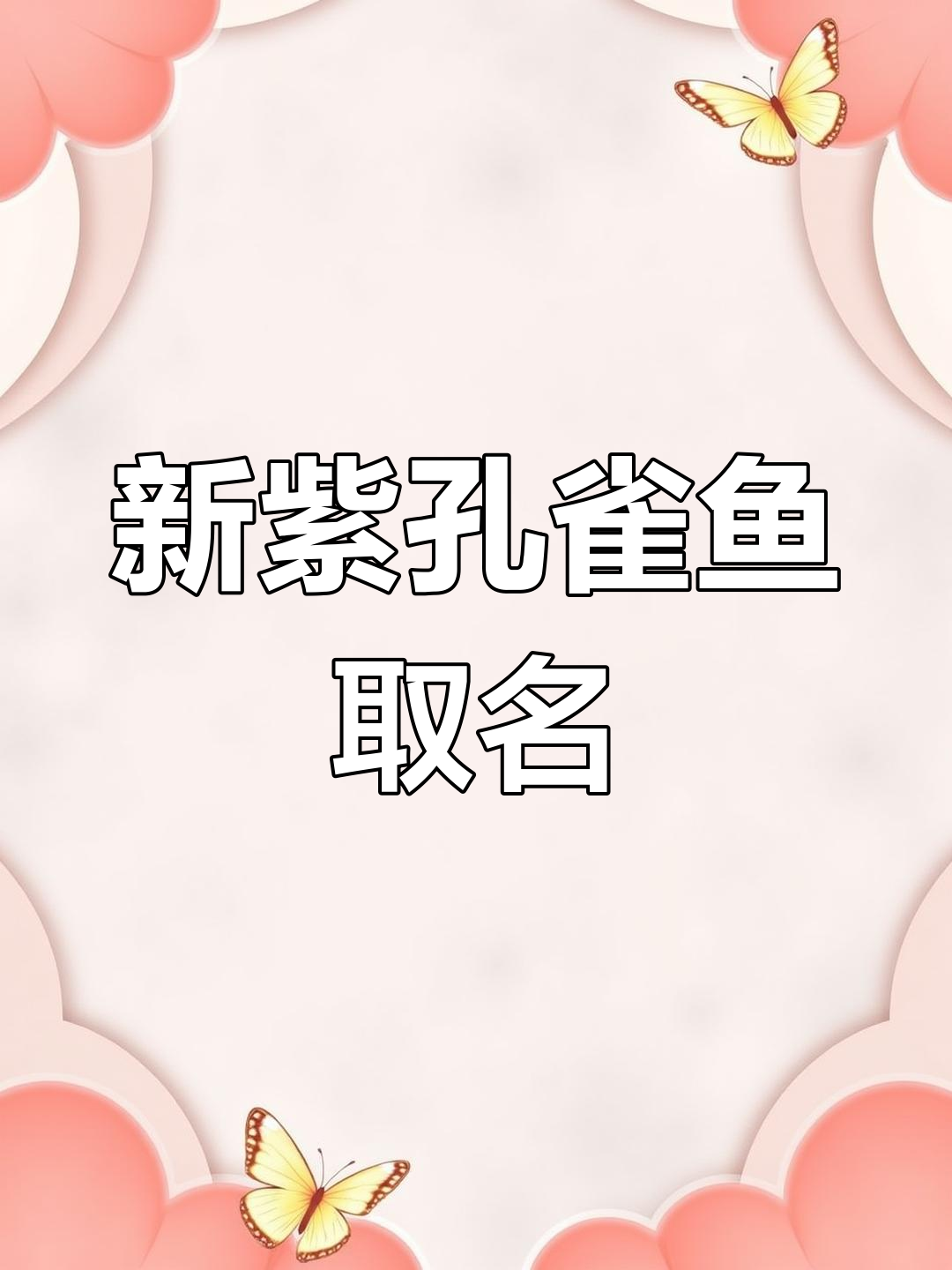 紫色孔雀鱼新名字,薰衣草风格你爱吗?