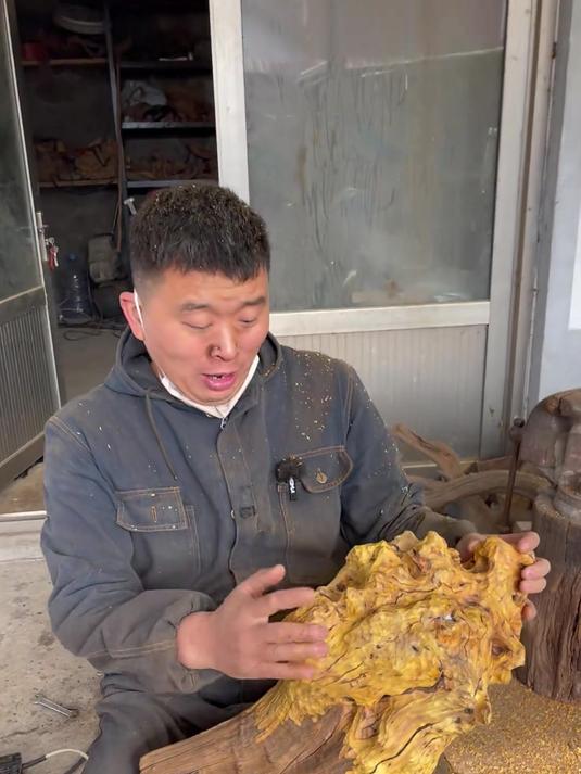 破木头变成宝 做颗黄金白菜、白菜、百财