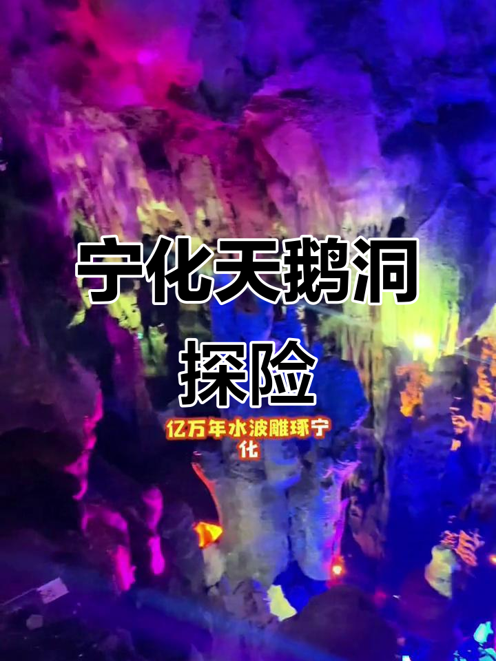 探秘宁化天鹅洞,万年溶洞与光影的奇幻之旅