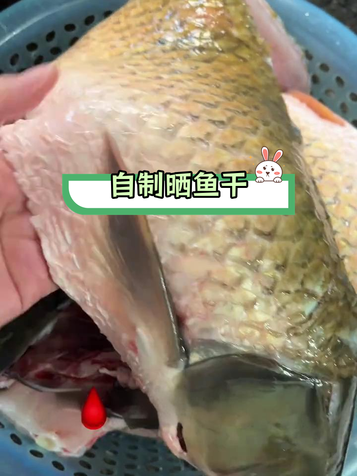 顺德妈妈教你晒鱼干,轻松自制美味