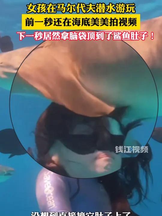 女孩在潜水拍视频的时候,不小心撞到了鲨鱼肚子:还好没秃,头发还在 马尔代夫