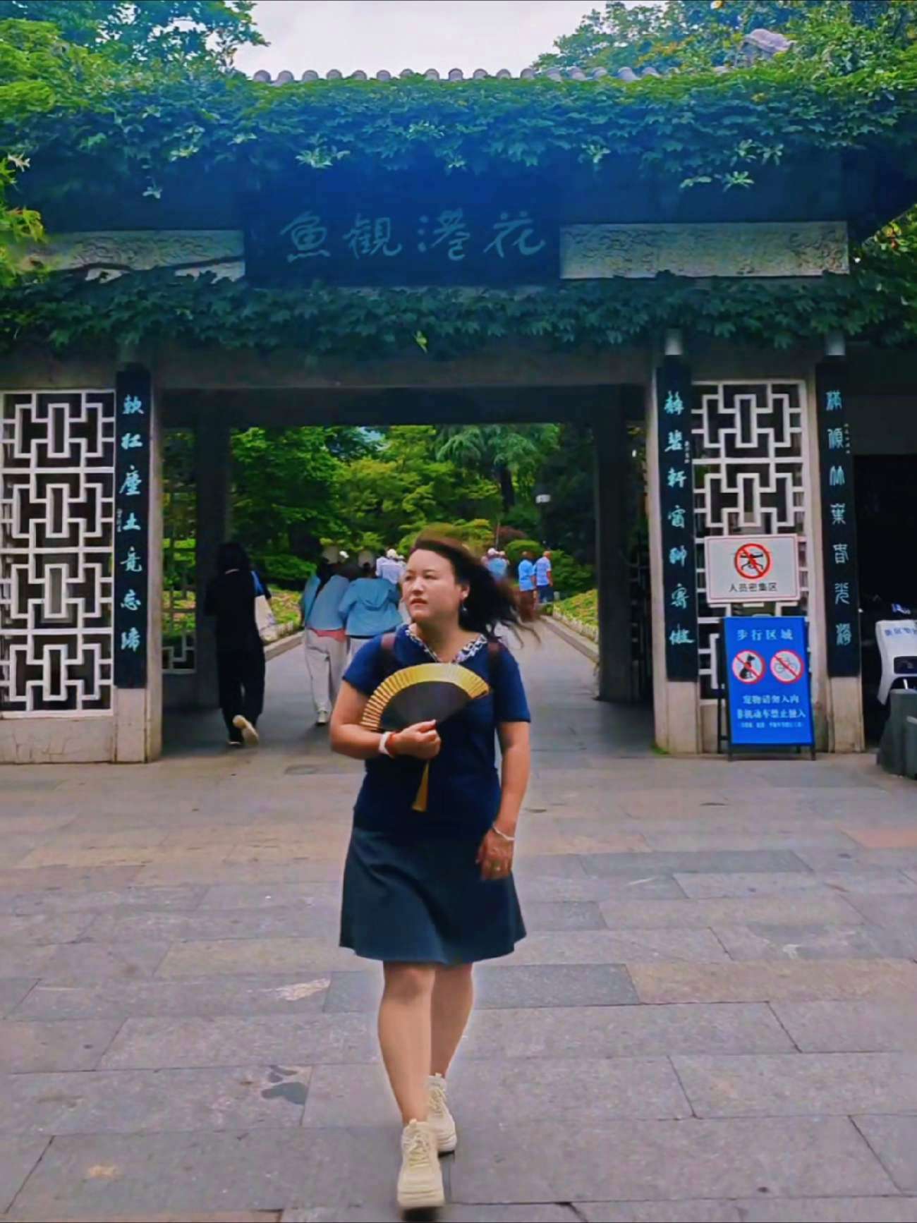 夏日游西湖，花港观鱼必打卡！喂锦鲤，沾福气，看鱼群翻腾太壮观啦！西湖 花港观鱼 风景如画的