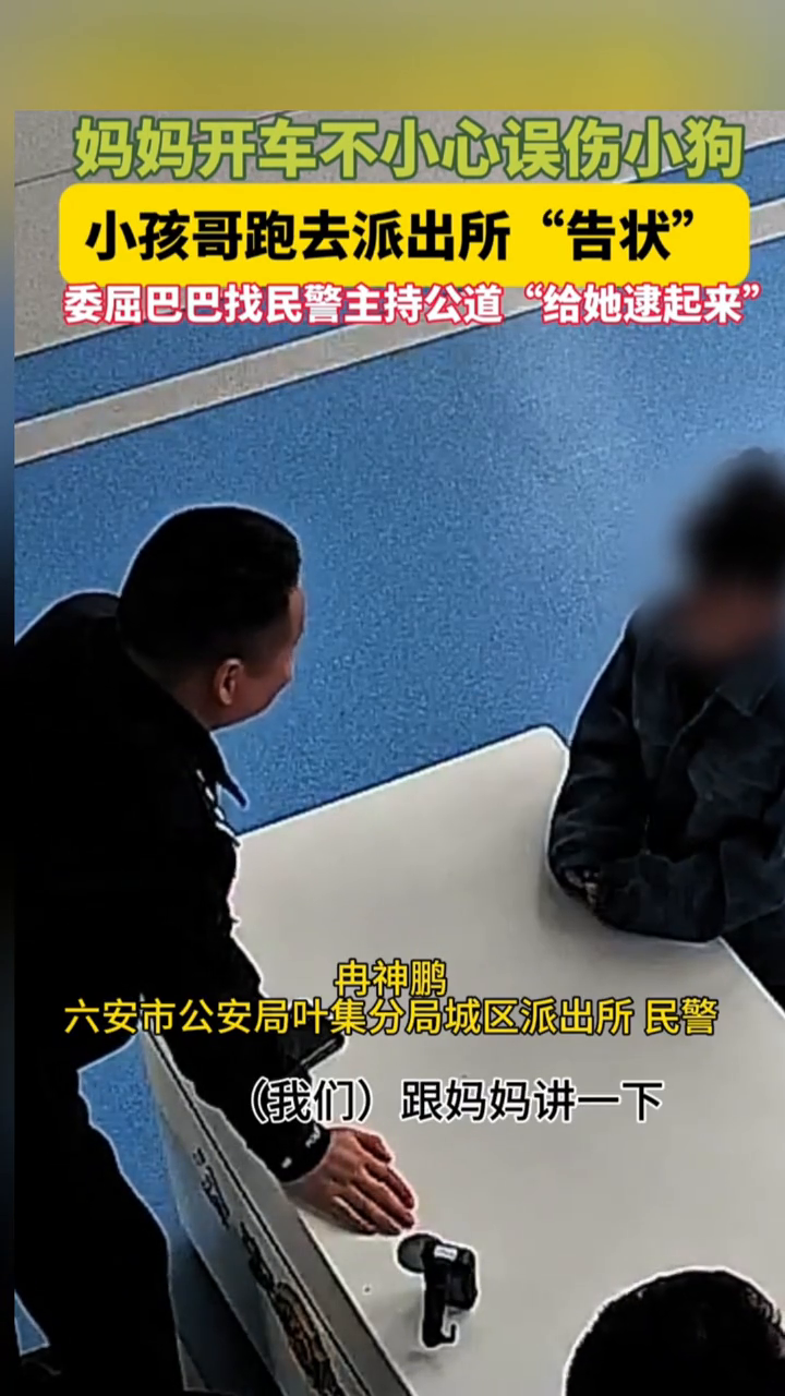 妈妈开车不小心误伤小狗,儿子跑去派出所“告状”
