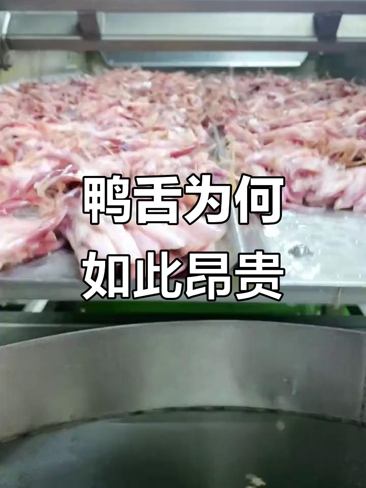 为什么鸭舌头这么贵?原来只有一个!