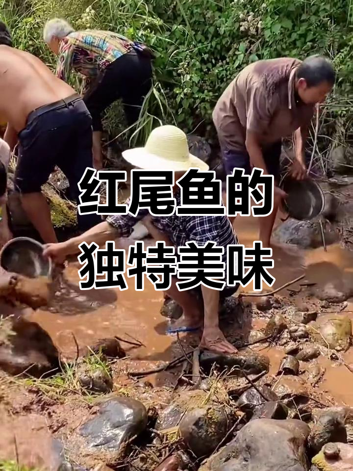 偷得浮生半日闲,品尝当地独特红尾巴鱼