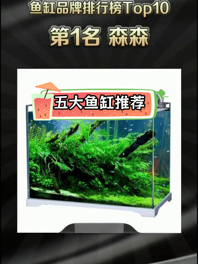 鱼缸品牌排名前五,选购指南